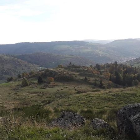 Chalet 3 Etoiles A Gerardmer. Bagian luar foto