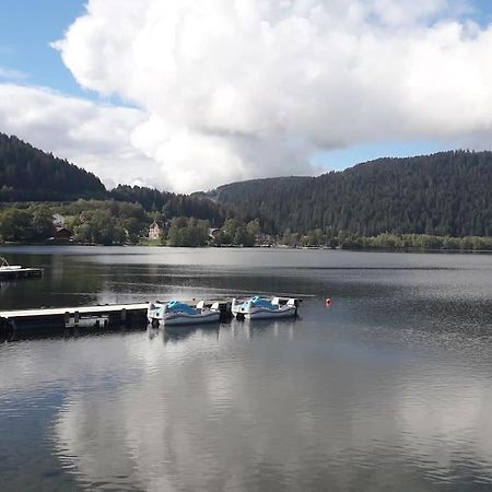 Chalet 3 Etoiles A Gerardmer. Bagian luar foto