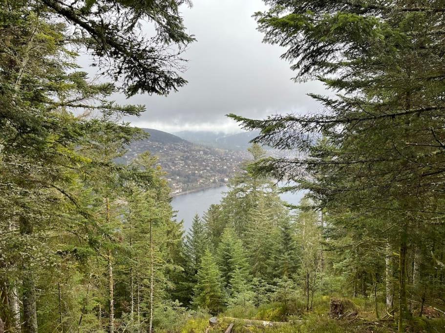 Chalet 3 Etoiles A Gerardmer. Bagian luar foto