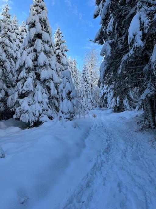 Chalet 3 Etoiles A Gerardmer. Bagian luar foto