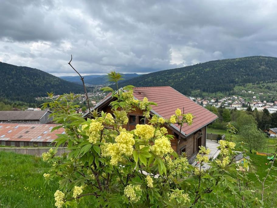 Chalet 3 Etoiles A Gerardmer. Bagian luar foto