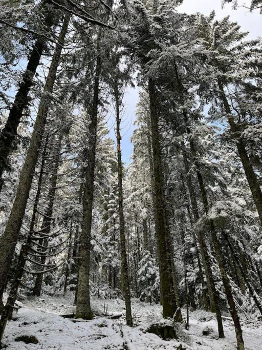 Chalet 3 Etoiles A Gerardmer. Bagian luar foto