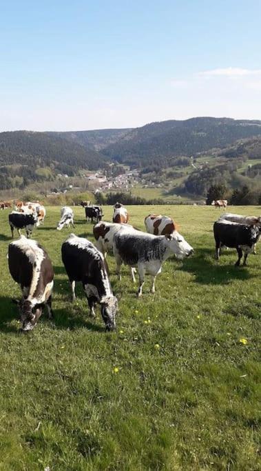 Chalet 3 Etoiles A Gerardmer. Bagian luar foto