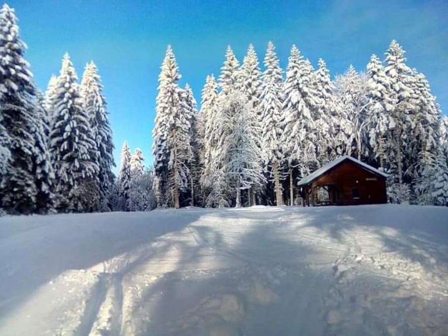Chalet 3 Etoiles A Gerardmer. Bagian luar foto