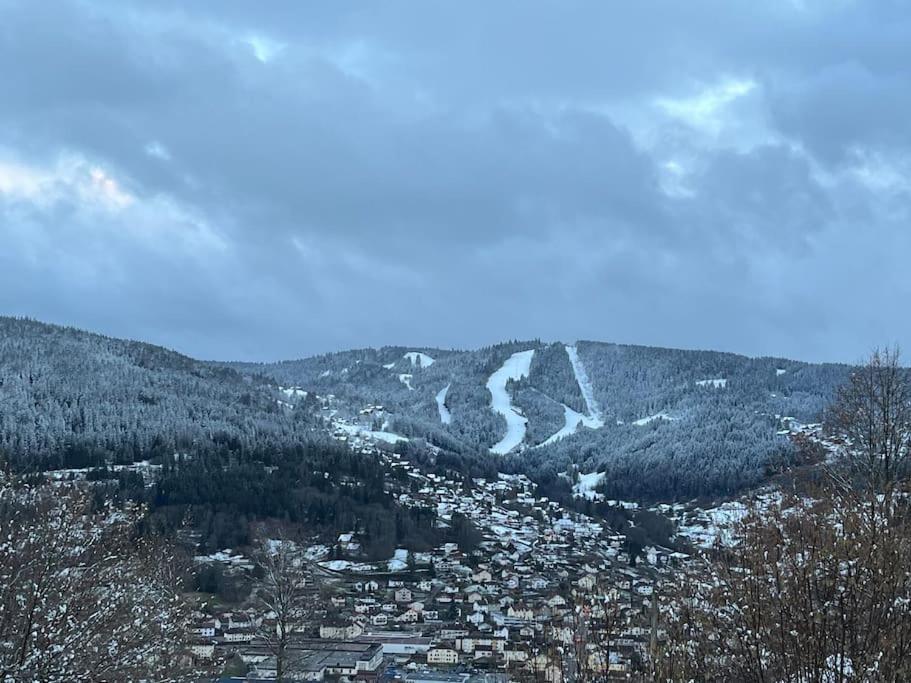 Chalet 3 Etoiles A Gerardmer. Bagian luar foto