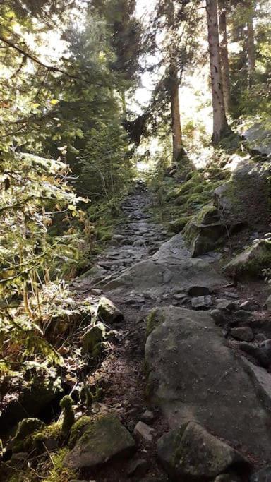 Chalet 3 Etoiles A Gerardmer. Bagian luar foto