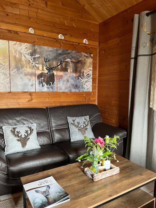 Chalet 3 Etoiles A Gerardmer. Bagian luar foto