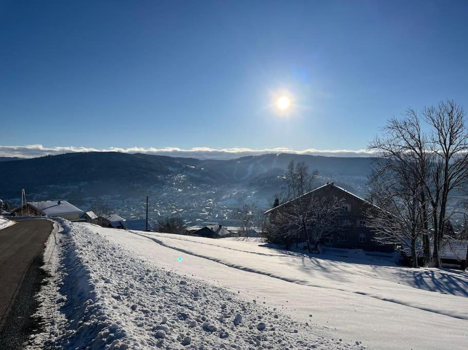 Chalet 3 Etoiles A Gerardmer. Bagian luar foto