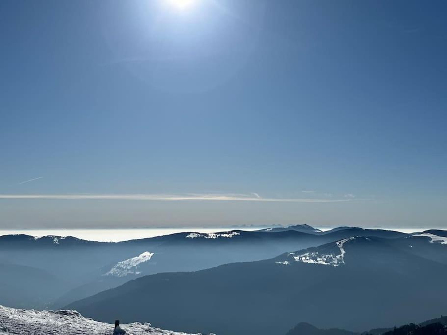 Chalet 3 Etoiles A Gerardmer. Bagian luar foto