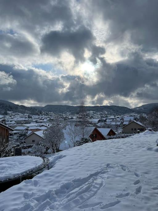 Chalet 3 Etoiles A Gerardmer. Bagian luar foto