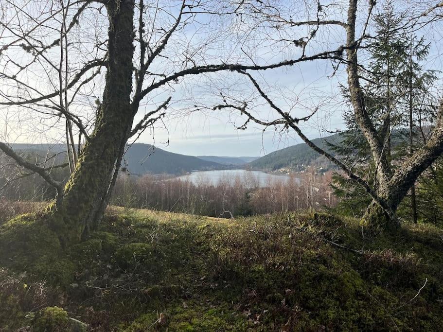 Chalet 3 Etoiles A Gerardmer. Bagian luar foto