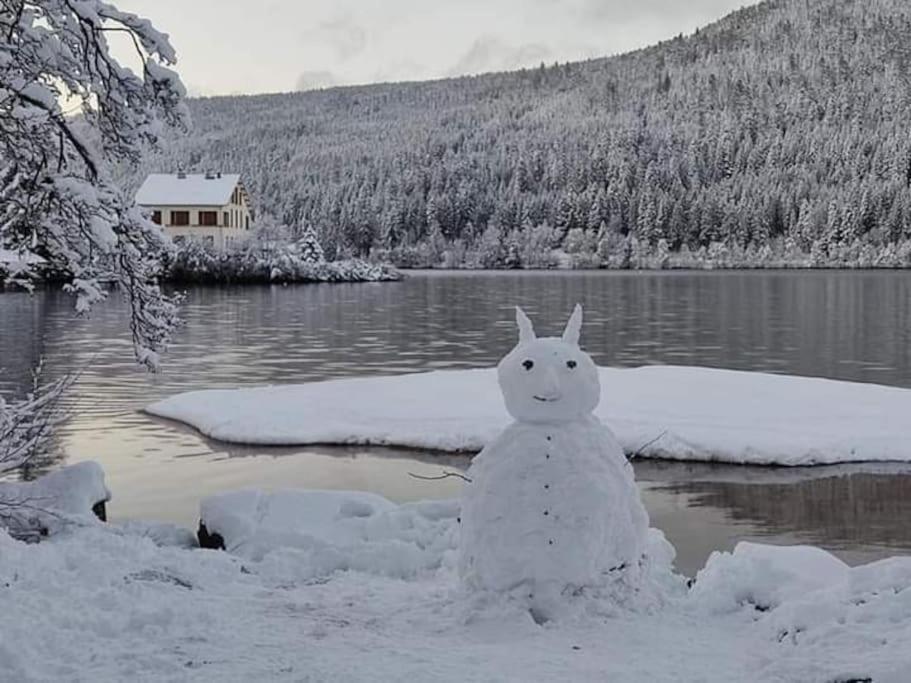 Chalet 3 Etoiles A Gerardmer. Bagian luar foto