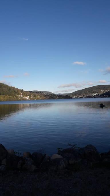 Chalet 3 Etoiles A Gerardmer. Bagian luar foto