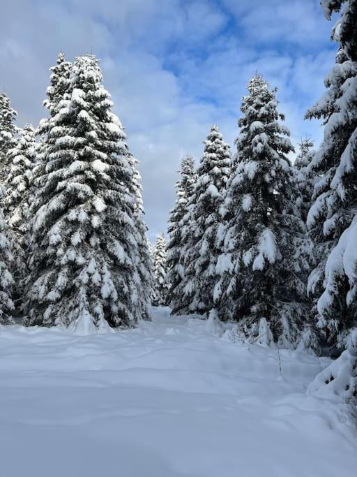 Chalet 3 Etoiles A Gerardmer. Bagian luar foto