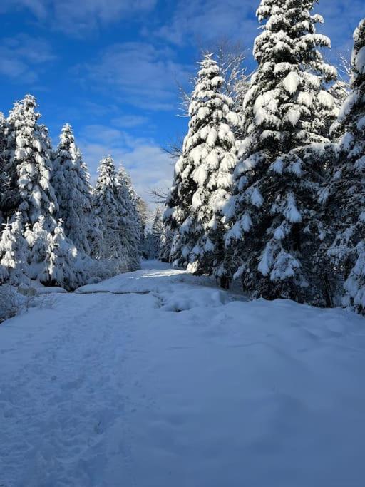 Chalet 3 Etoiles A Gerardmer. Bagian luar foto