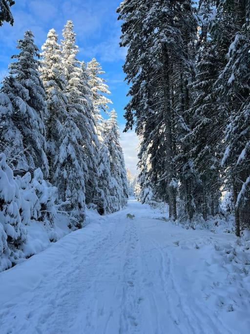 Chalet 3 Etoiles A Gerardmer. Bagian luar foto