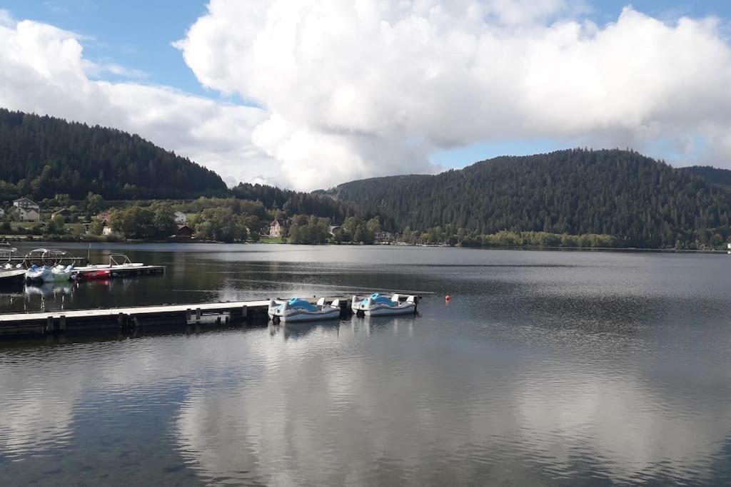 Chalet 3 Etoiles A Gerardmer. Bagian luar foto