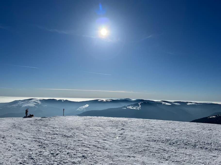 Chalet 3 Etoiles A Gerardmer. Bagian luar foto