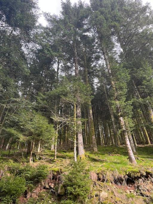 Chalet 3 Etoiles A Gerardmer. Bagian luar foto